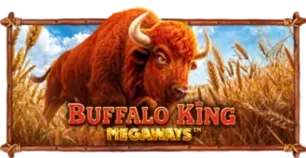 ภาพเกม Buffalo King Megaways ที่ 669s รวบรวมไว้
